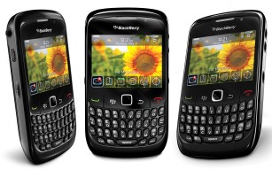 blackberry thumb medium307 192