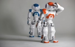Los robots tienen su red social